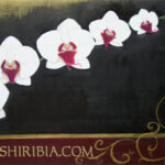 Orchidea bianca, olio su tela, 2010, 50 x 60 cm