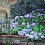 Ortensie olio su tela, 2012 50x70 cm